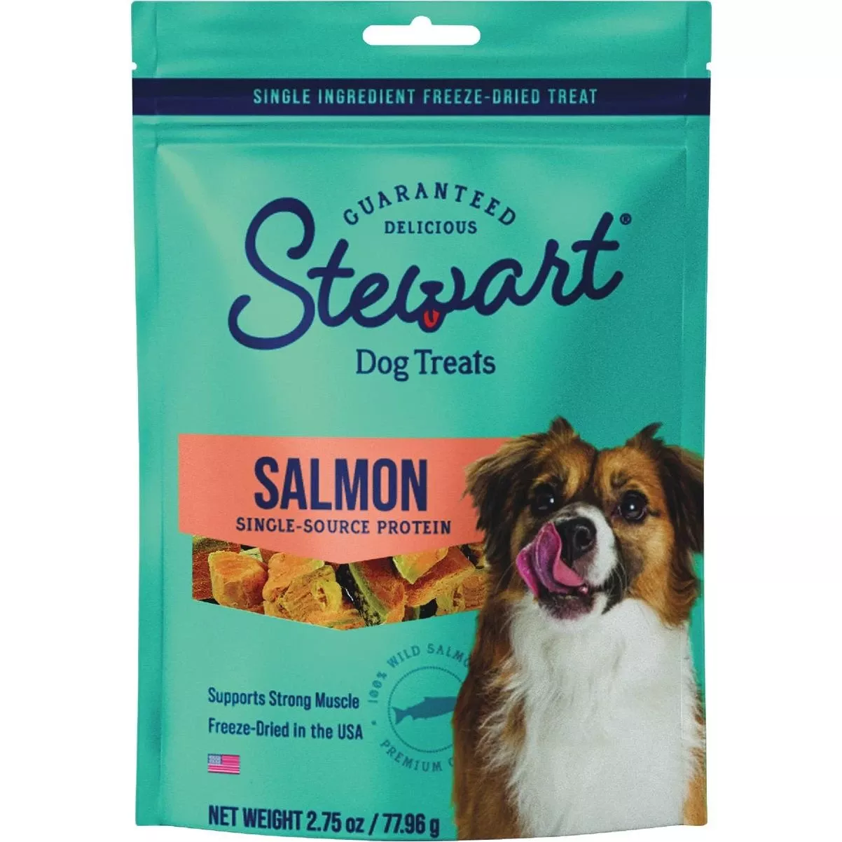 2.75 Oz. Pouch Wild Salmon Dog Treat