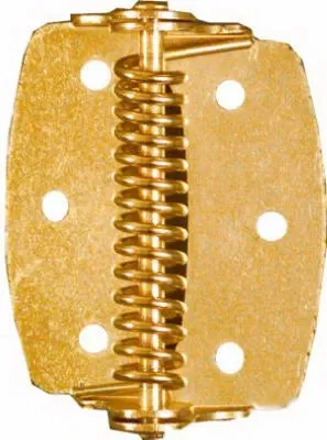 2-inch Brass Spring Hinge – 2 Pack