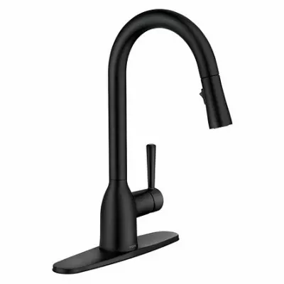 Adler Matte Black Single Handle High Arc Kitchen Faucet With Pull-down Spray
