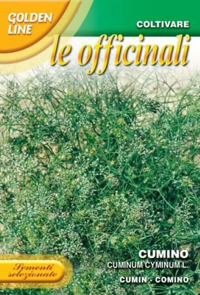 Cumin - Cuminim Cyminum L