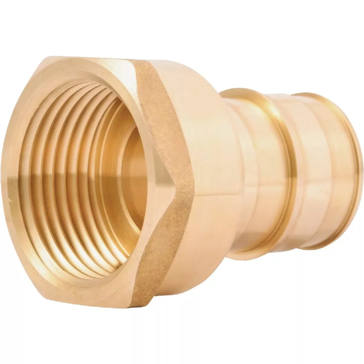 Pex-a Brass 1 In. X 1 In. Fnpt Adapter