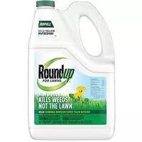 Roundup 4375010 Lawn Weed Killer, Liquid, 1.25 gal Bottle