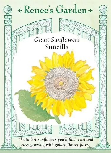 Sunflower Giant Edible Sunzi Rg5051 Seeds