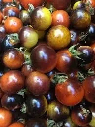 Tomato Blue Goldbery 25pk